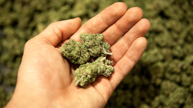 marijuana-2.jpg 