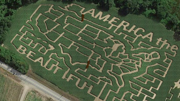 connors farm corn maze 