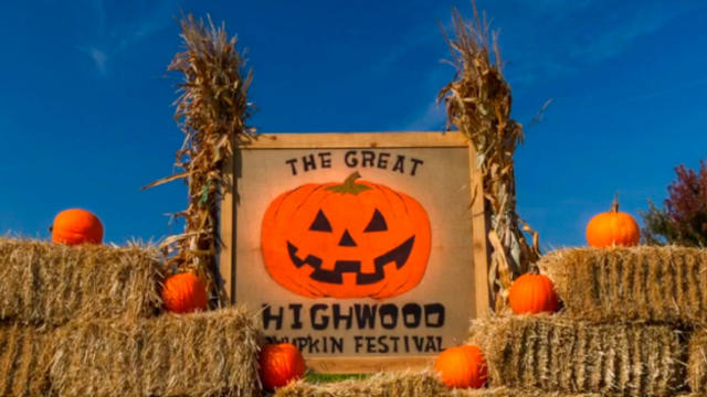 highwood-pumpkinfest-20142.jpg 