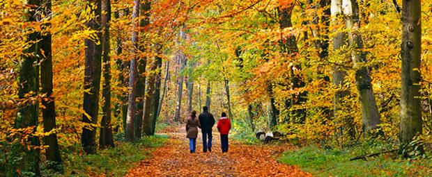 fall leaves travel  couple 610 header 