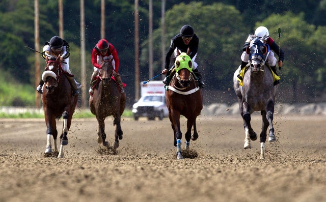 001ap9537711123269.jpg?v\u003d83093a0dd27502f0a52cd68b1c5b8b6e