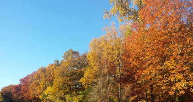 fall-colors-in-elk-river-kevin-c-begin.jpg 