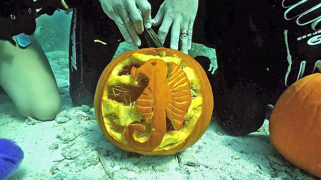 underwater-pumpkin-carving-4.jpg 