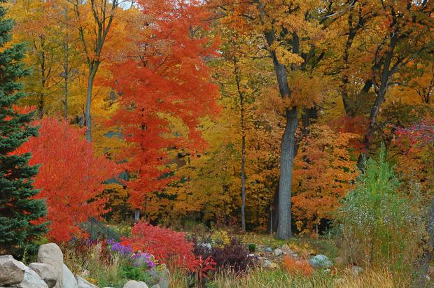 fall-colors-kathleen-padilla-spring-park.jpg 