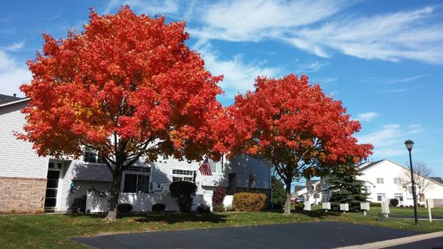 fall-colors-apple-valley-vg-bergstrom.jpg 