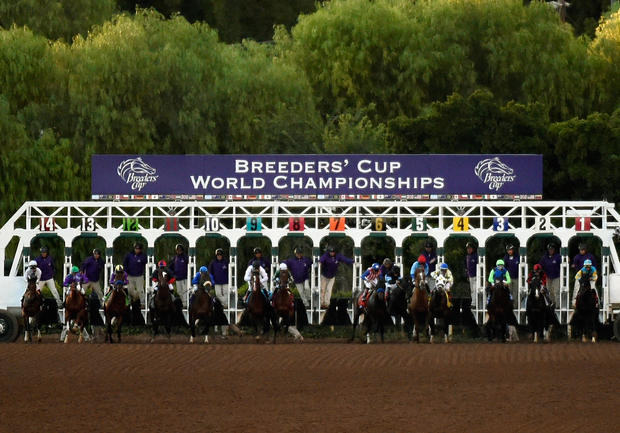 2014 Breeders' Cup Classic 