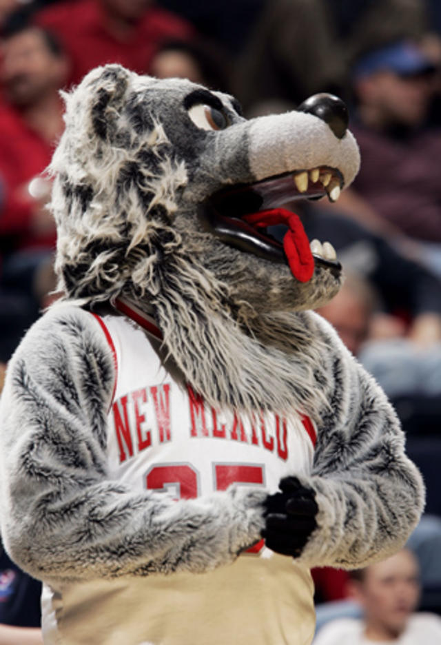 14 Funny, Crazy and Unusual College and Pro Sports Mascots – Scout Life  magazine