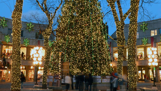 Faneuil Hall Holiday Tree Blink 
