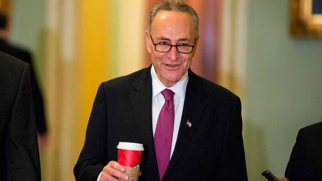 schumer2.jpg 