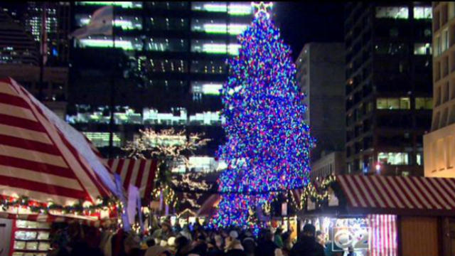daley-plaza-christmas-tree.jpg 