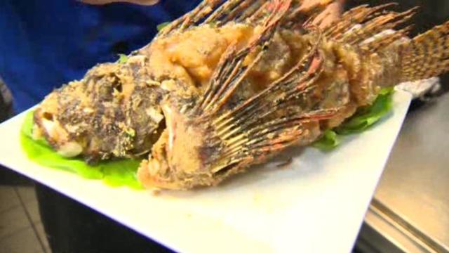 lionfish-dish.jpg 