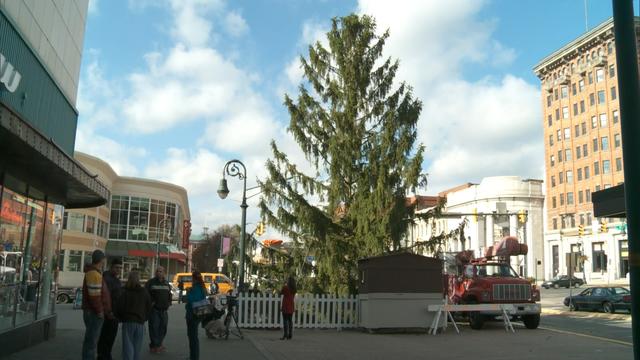 Ugly Tree Helps Pennsylvania Town Find True Meaning of Christmas