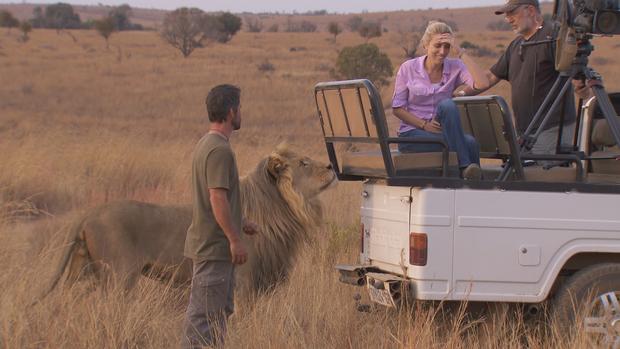 Clarissa Ward and Kevin Richardson with lion 