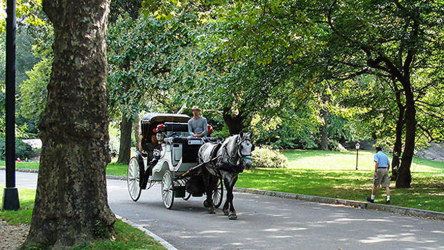 central-park-carriage-_jlloyd.jpg 