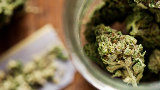 marijuana-4.jpg 