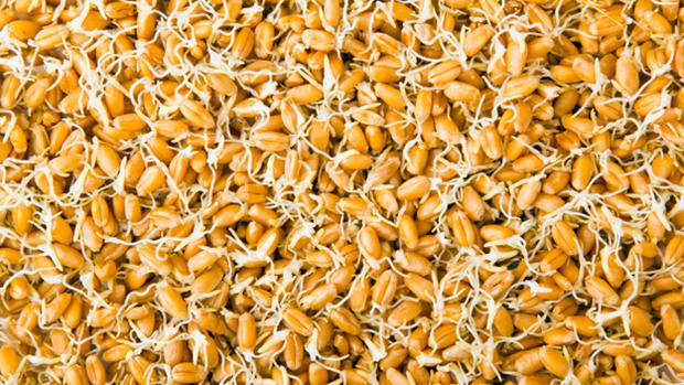 wheat-germ.jpg 