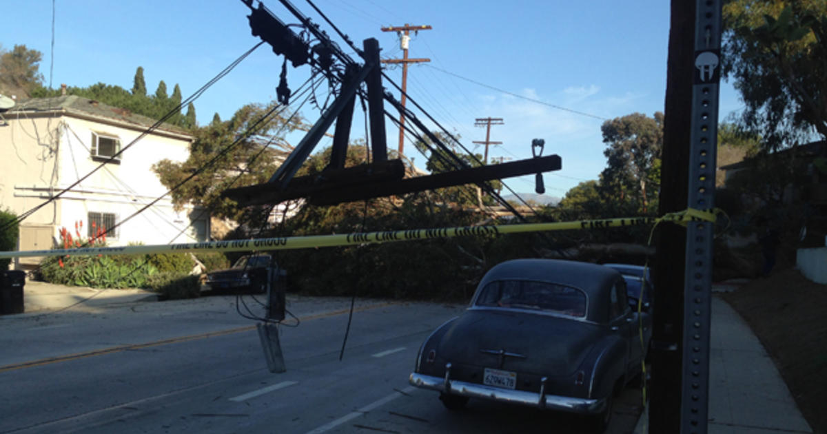 Power Restored To Thousands After Massive Tree Topples In Silver Lake