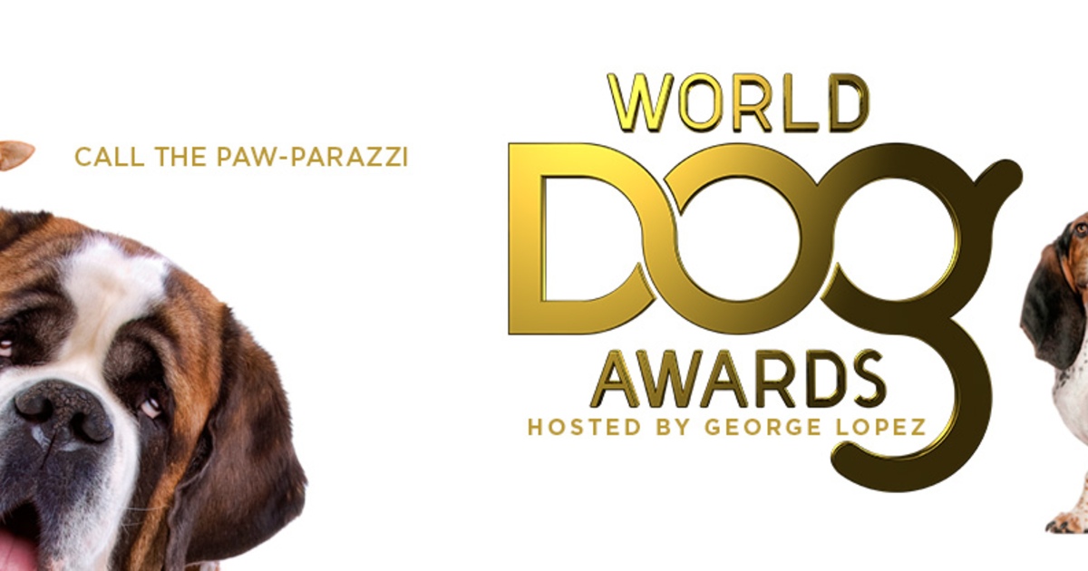 The World Dog Awards CBS Detroit