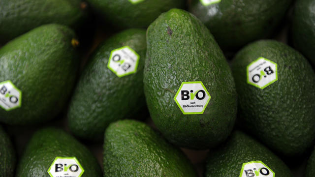 avocado.jpg 