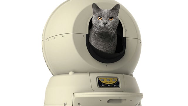 skymall-kitty-robot-promo.jpg 