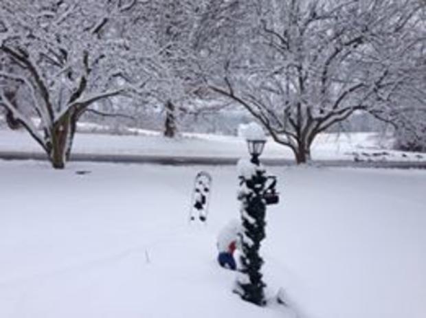 cindy-washkwich-milford-nj-about-6-inches.jpg 