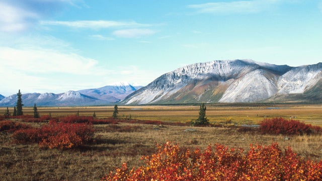 Arctic National Wildlife Refuge 