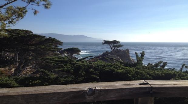 17-Mile Drive and the lone cypress (Credit, Laurie Jo Miller Farr) 