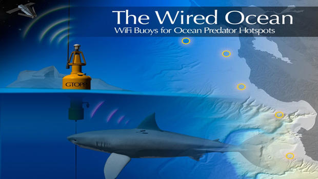 The Wired Ocean 