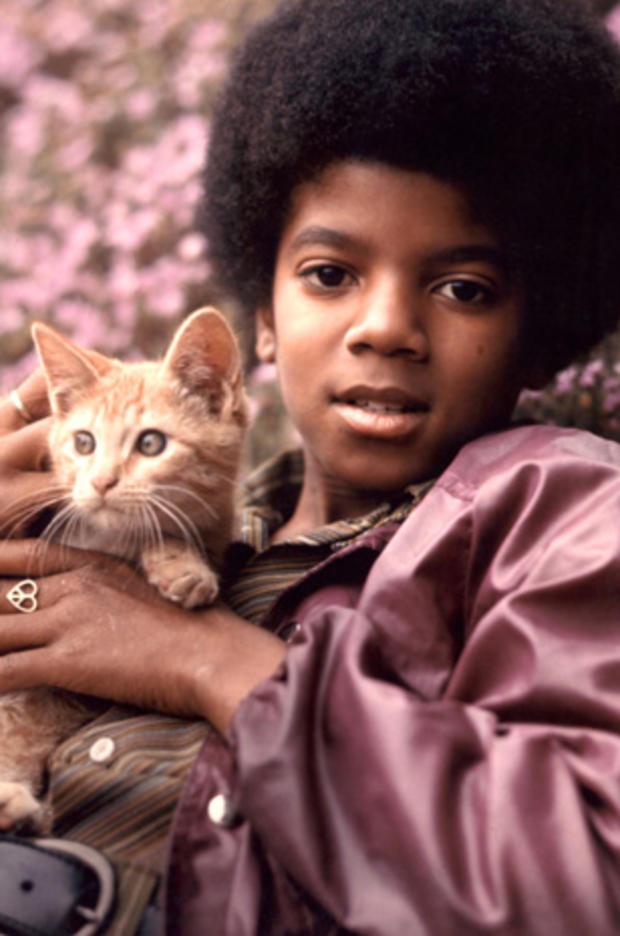 henry-diltz-michael-jackson-with-cat-1971.jpg 