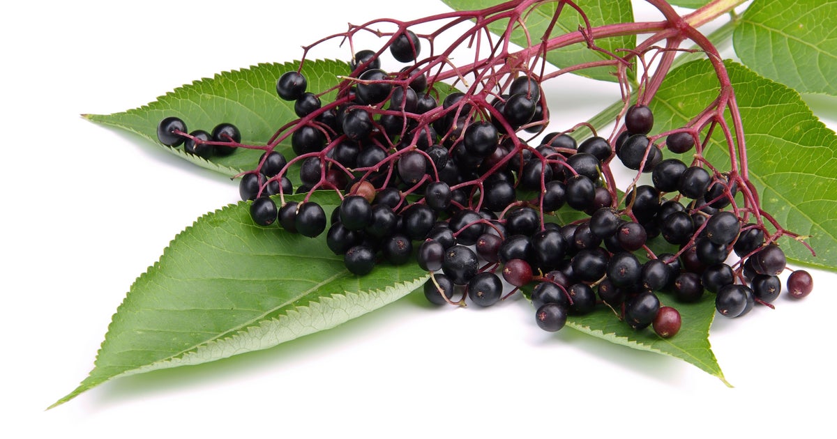 Can elderberry help treat colds and flu? CBS News