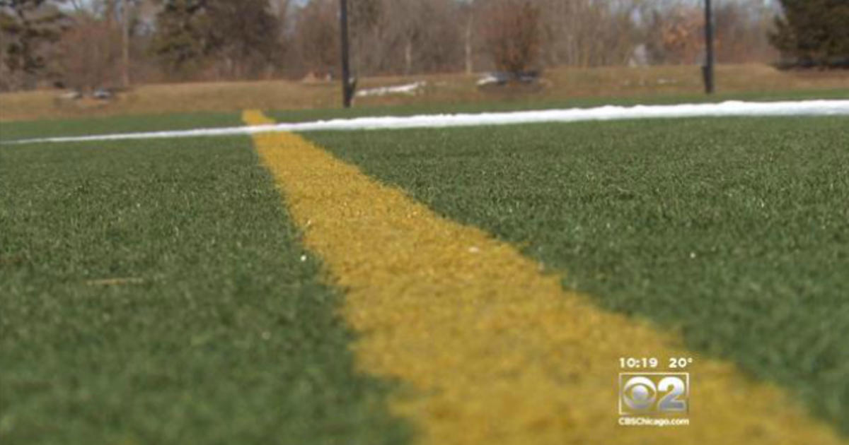 wetgeving Hesje vitaliteit 2 Investigators: Crumb Rubber Turf Could Pose Cancer Risk - CBS Chicago