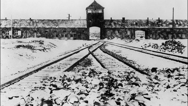 auschwitz51954489.jpg 