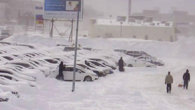 honda-cars-snow.jpg 