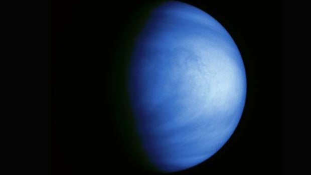 venus.jpg 