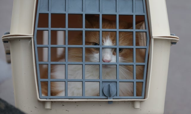 7 oddball tax deductions 