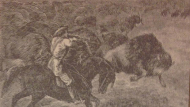 buffalo bill drawing 