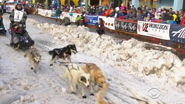 iditarod-2.jpg 