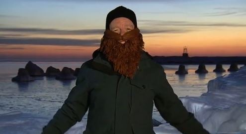 dean-reynolds-beard-mask.jpg 