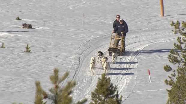 Dog Sledding At Snow Mountain Ranch 