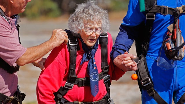 georgina harwood south africa 