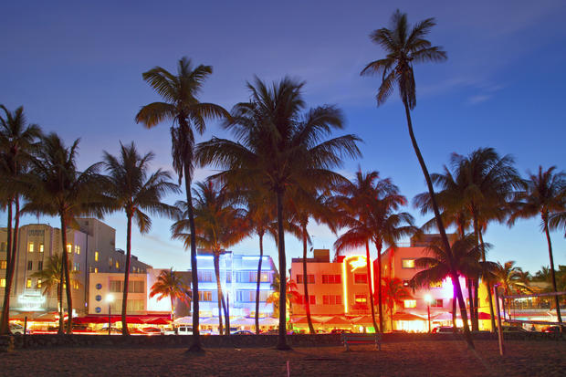 Miami Palm Trees Miami Beach Ocean Drive 