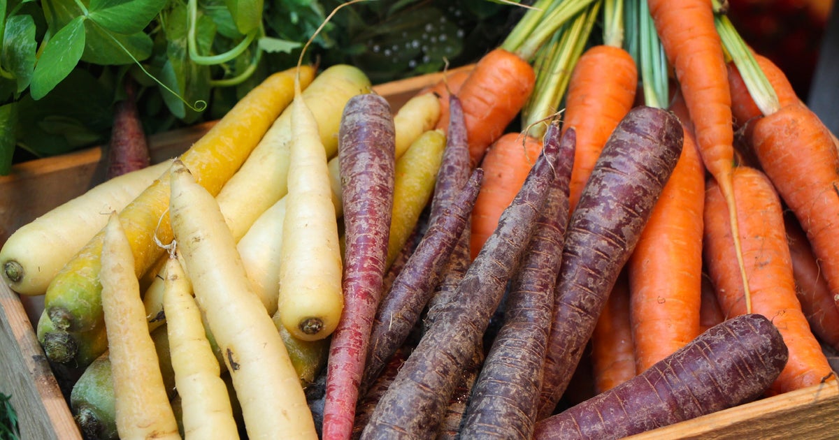 Gardening 101: Finally Fall planting Gardening 101: Finally Fall planting