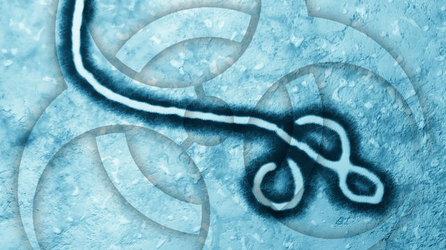 ebola.jpg 