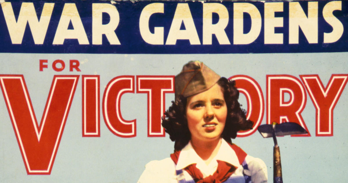 WW II Victory Garden counts more than ever 8"x10" 