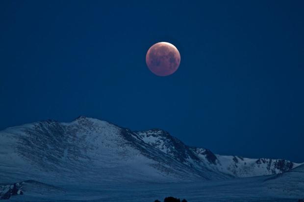 BloodMoon10 (Denver Astronomical Society member Ron Pearson in Evergreen, to our FB) 