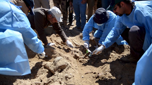 Members from the Iraqi forensic team search to extract the remains of the bodies belonging to Shi'ite soldiers from Camp Speicher who have been killed by Islamic State militants at a mass grave in the presidential compound of the former Iraqi president Sa 