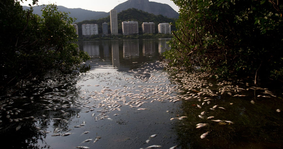 Rio waters to be tested for viruses prior to Olympics - CBS News