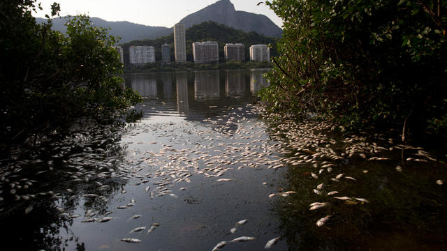 Rodrigo de Freitas lagoon Rio de Janeiro 