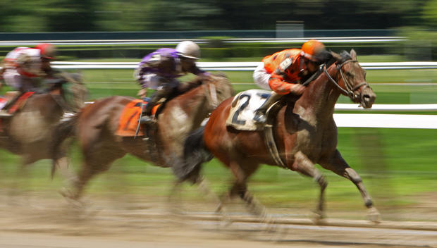 horse racing preakness 