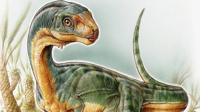 bizarre-dino-promo.jpg 